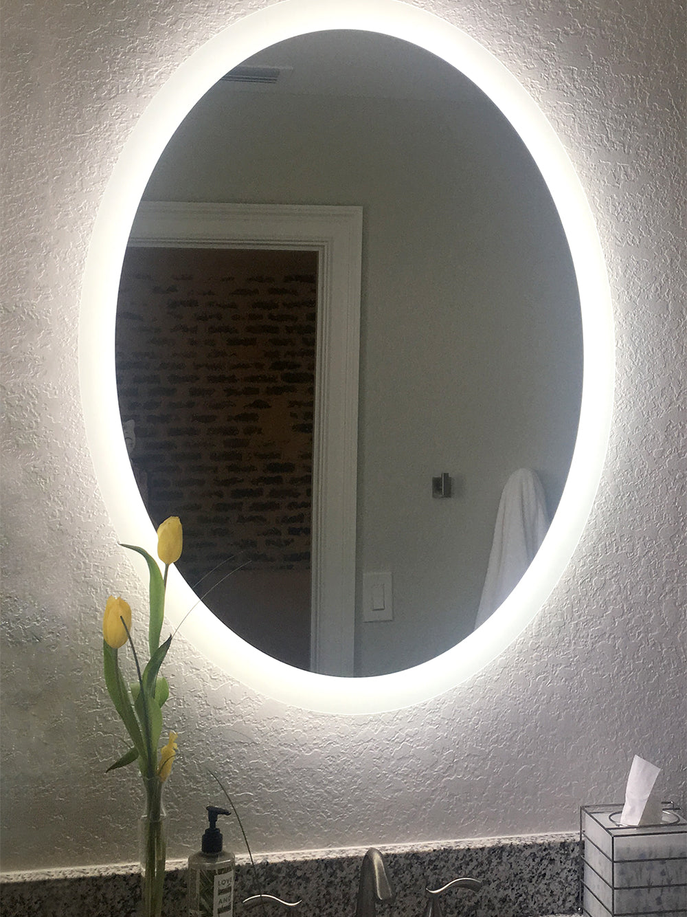 LED Bathroom Vanity Mirror Oval Side Lighted 20x28 E